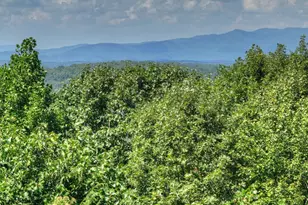 8 North Face Dr, Blue Ridge, GA 30513 - Photo 23