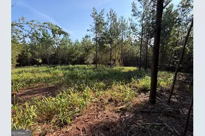 15.62 Acres Carlisle Gap Road, Woodland, GA 31836 - Photo 19