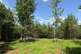 15 62 Acres Carlisle Gap Rd, Woodland, GA 31836 - Photo 1