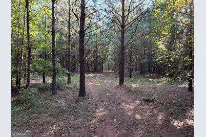 15.62 Acres Carlisle Gap Road, Woodland, GA 31836 - Photo 17
