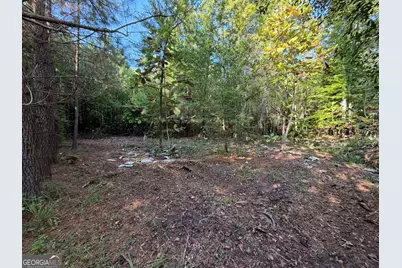 15.62 Acres Carlisle Gap Road, Woodland, GA 31836 - Photo 7