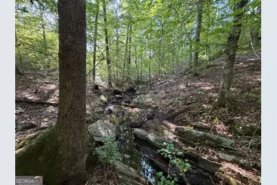15.62 Acres Carlisle Gap Road, Woodland, GA 31836 - Photo 15