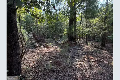 15.62 Acres Carlisle Gap Road, Woodland, GA 31836 - Photo 21