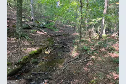 15.62 Acres Carlisle Gap Road, Woodland, GA 31836 - Photo 13
