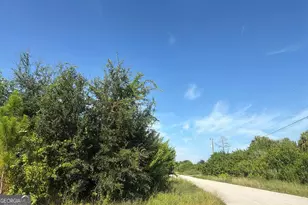 625 Clancy St E, Lehigh Acres, FL 33974 - Photo 5