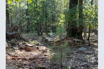 17 Acres Carlisle Gap Road, Woodland, GA 31836 - Photo 13