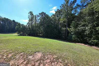 289 Hickory Hills Drive, Newnan, GA 30263 - Photo 31