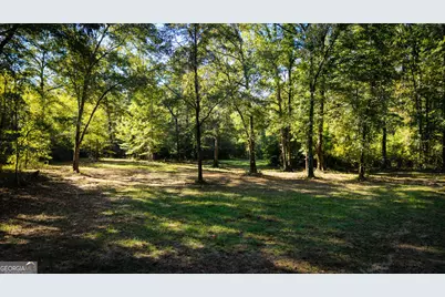 490 Middle River Road, Americus, GA 31709 - Photo 61