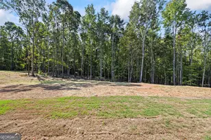 1903 Hoods Mill Rd, Commerce, GA 30529 - Photo 63