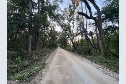 0 Old Moore Road #1, Portal, GA 30450 - Photo 13