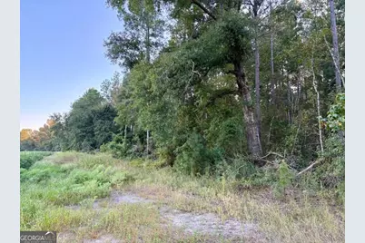 0 Old Moore Road #2, Portal, GA 30450 - Photo 3