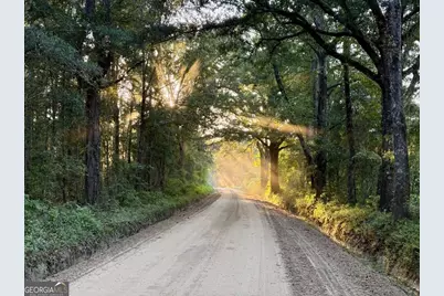 0 Old Moore Road #5, Portal, GA 30450 - Photo 1