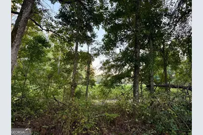 0 Old Moore Road #5, Portal, GA 30450 - Photo 7