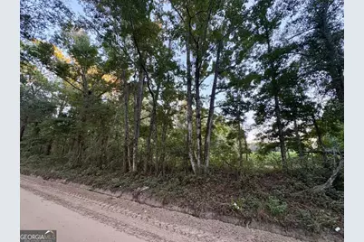 0 Old Moore Road #6, Portal, GA 30450 - Photo 7