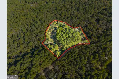 119 Lotts Creek Road, Claxton, GA 30417 - Photo 3