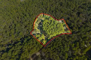119 Lotts Creek Rd, Claxton, GA 30417 - Photo 3