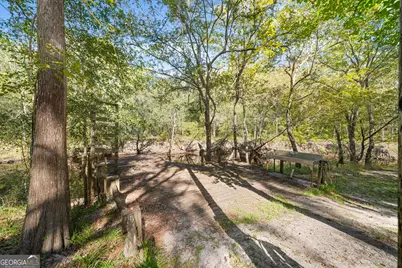 119 Lotts Creek Road, Claxton, GA 30417 - Photo 29