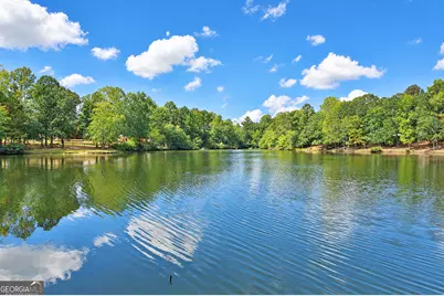 135 Carlisle Street, Newnan, GA 30263 - Photo 55