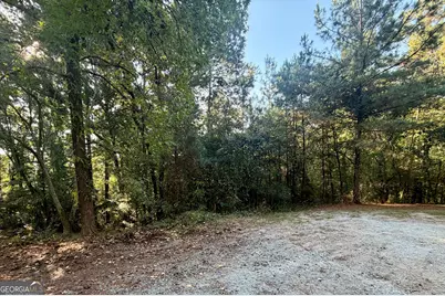 0 Dove Court #LOT 113, Monticello, GA 31064 - Photo 5
