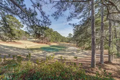 0 Dove Court #LOT 113, Monticello, GA 31064 - Photo 13