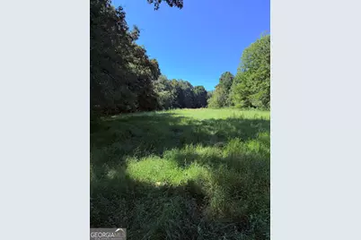 1333 E Hill Street, Washington, GA 30673 - Photo 21