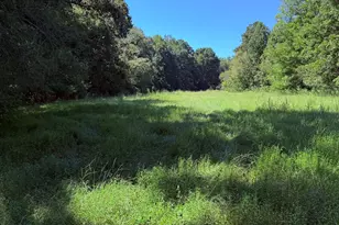 1333 E Hill St, Washington, GA 30673 - Photo 21