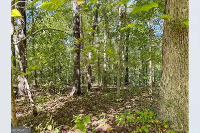 0 (Barrington Subd) 16 Approved #LOTS READY TO BUILD, Covington, GA 30016 - Photo 11