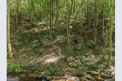 0 Dell Moore Road #LOT 3, Marble Hill, GA 30148 - Photo 5