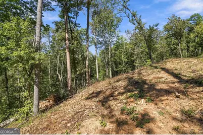 0 Dell Moore Road #LOT 3, Marble Hill, GA 30148 - Photo 9