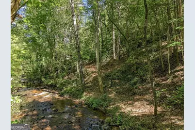 0 Dell Moore Road #LOT 3, Marble Hill, GA 30148 - Photo 3