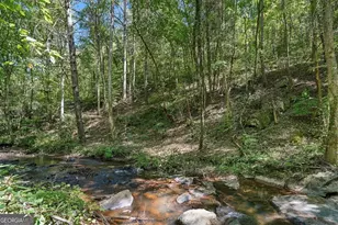 0 Dell Moore Rd, Marble Hill, GA 30148 - Photo 1