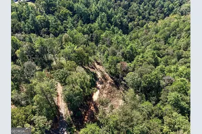 0 Dell Moore Road #LOT 4, Marble Hill, GA 30148 - Photo 11