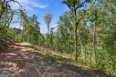 0 Dell Moore Road #LOT 4, Marble Hill, GA 30148 - Photo 7