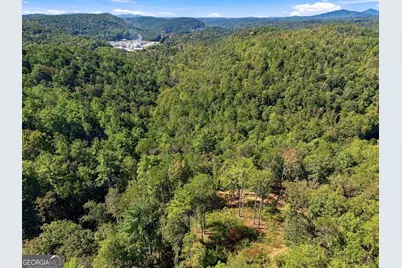 0 Dell Moore Road #LOT 4, Marble Hill, GA 30148 - Photo 9