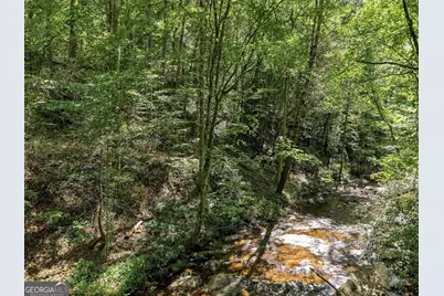 0 Dell Moore Road #LOT 4, Marble Hill, GA 30148 - Photo 3