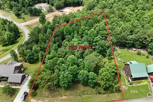 0 Village Loop, Blairsville, GA 30512 - Photo 1