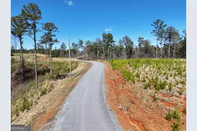 155 Shallow Water Trail, Talking Rock, GA 30175 - Photo 9