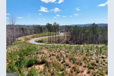155 Shallow Water Trail, Talking Rock, GA 30175 - Photo 5