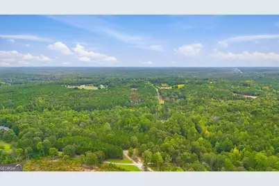 138 Roy Dean Road, Buchanan, GA 30113 - Photo 3