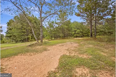 138 Roy Dean Road, Buchanan, GA 30113 - Photo 11