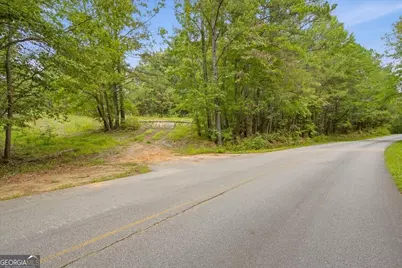 138 Roy Dean Road, Buchanan, GA 30113 - Photo 21