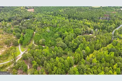 138 Roy Dean Road, Buchanan, GA 30113 - Photo 31