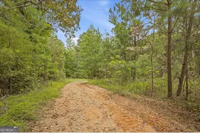 138 Roy Dean Road, Buchanan, GA 30113 - Photo 15