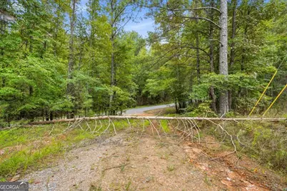 138 Roy Dean Road, Buchanan, GA 30113 - Photo 17