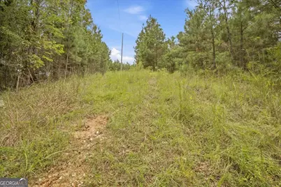 138 Roy Dean Road, Buchanan, GA 30113 - Photo 25