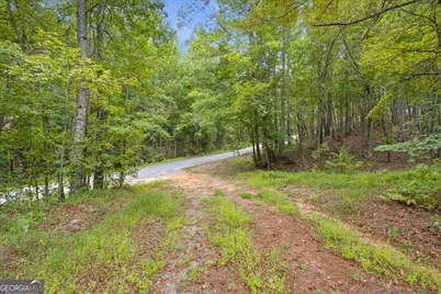 138 Roy Dean Road, Buchanan, GA 30113 - Photo 19