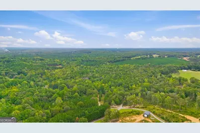 138 Roy Dean Road, Buchanan, GA 30113 - Photo 33
