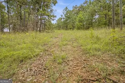 138 Roy Dean Road, Buchanan, GA 30113 - Photo 23