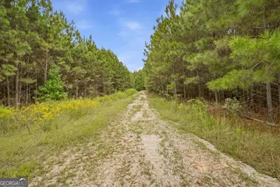 138 Roy Dean Road, Buchanan, GA 30113 - Photo 13