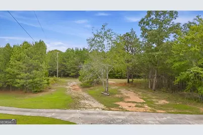 138 Roy Dean Road, Buchanan, GA 30113 - Photo 9